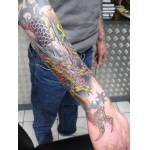 dragon_forearm_mar08.jpg