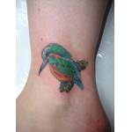 kingfisher_ankle_jan08.jpg