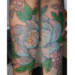 peony_arm_steven_07.jpg