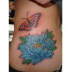 peony_butterfly_ribs_leecover07.jpg