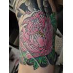 peony_foodog_halfsleeve_07_s3_2.jpg