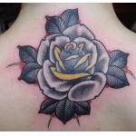 rose_black_shoulder_07.jpg