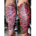 roses_cover_forearm_feb08.jpg