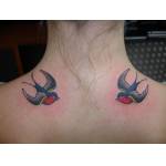 swallows_nape_jan08.jpg