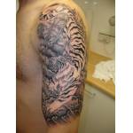 tiger_bamboo_halfsleeve_james_s1.jpg