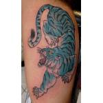 tiger_blue_innerbicep_mar08.jpg